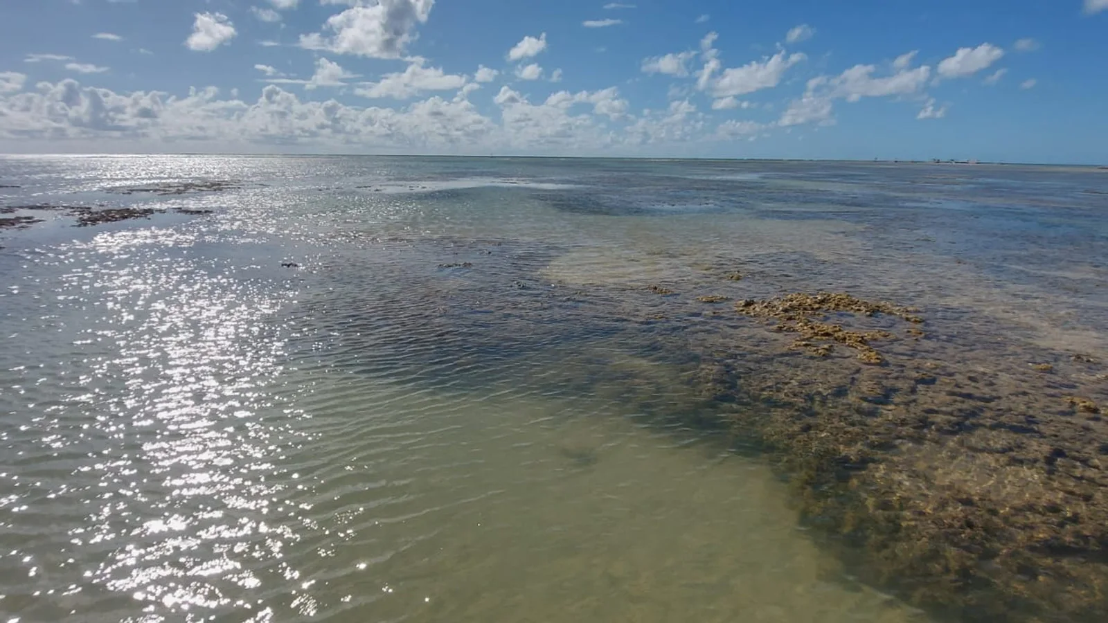 Formações recifais visíveis durante a maré baixa na Costa dos Corais.