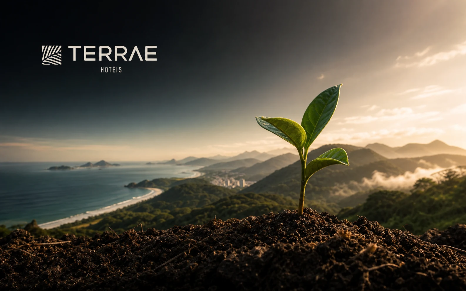 Terrae Hoteles: Tierra fértil para que las personas, los negocios y los destinos prosperen