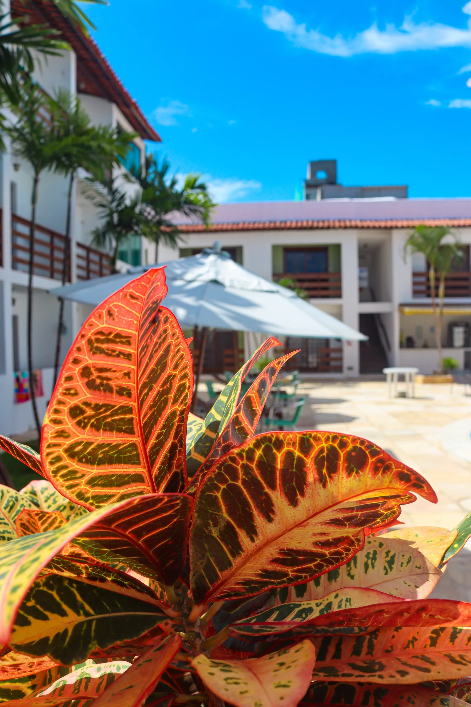 Estação do Sol Praia Hotel: Detalles