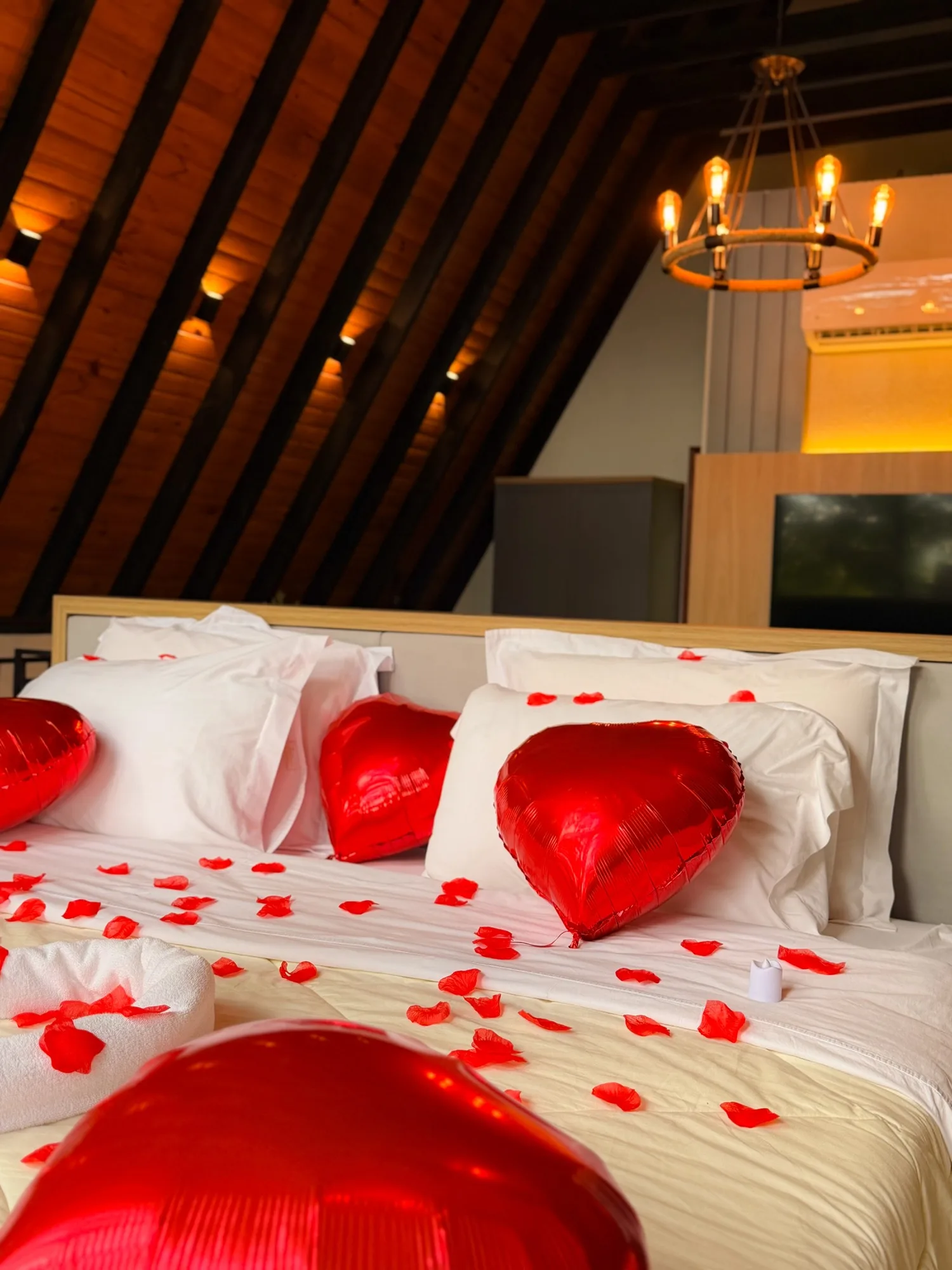 Taboo Refúgio: Experience